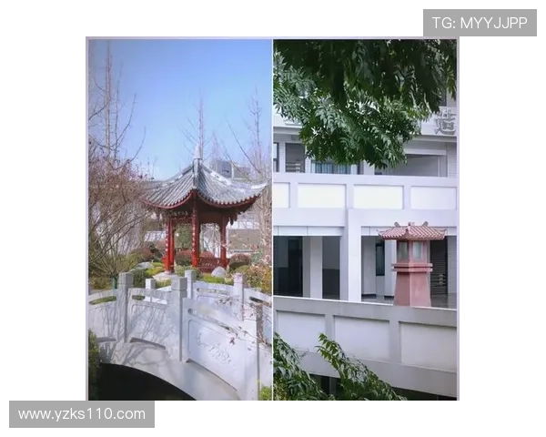 成都乒乓球队阵地战革新探索新模式助力竞技水平提升